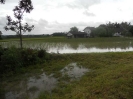 2013_06_02_Hochwasser_52