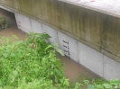 2013_06_02_Hochwasser_74
