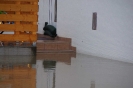2013_06_04_Hochwasser_16