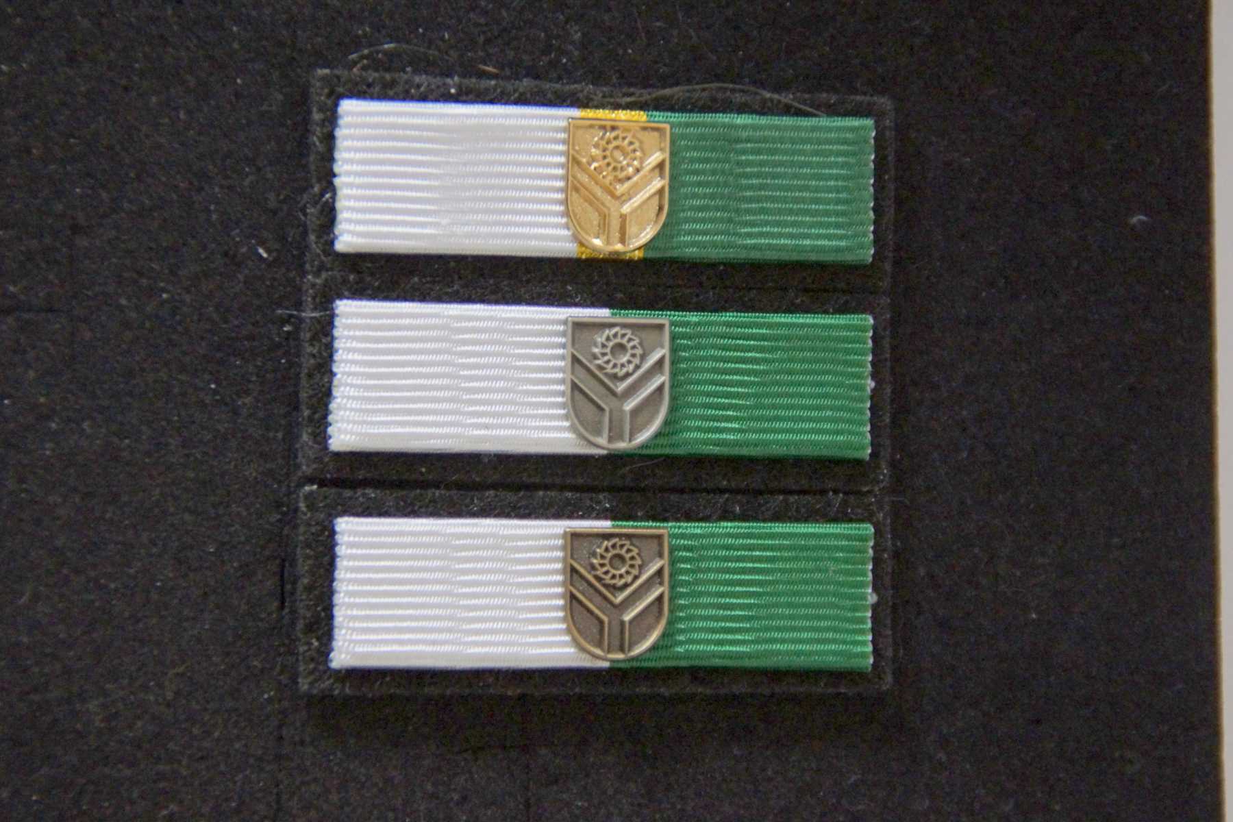 Pucking FW VM Bandspangen