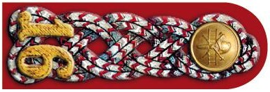 1893 Bezirksverbands-Obmann-Stellvertreter