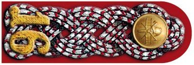 1893 Bezirksverbands-Obmann