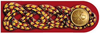 1893 Verbands-Obmann Stv