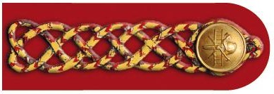 1893 Zentralausschussmitglied