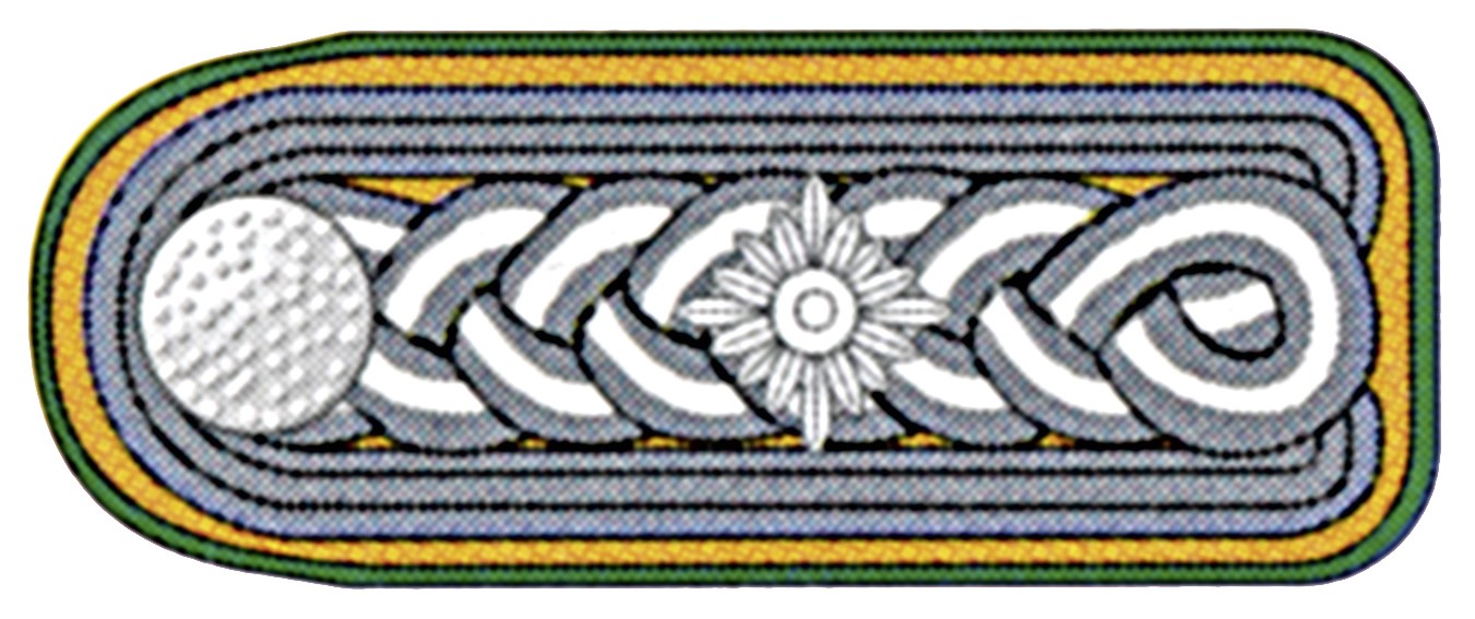 Brandmeister SK links