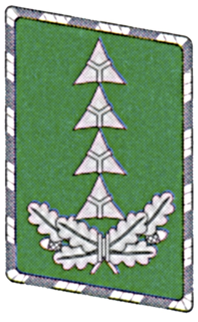 Hauptbrandmeister KS links