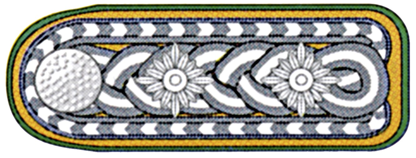 Hauptbrandmeister SK links