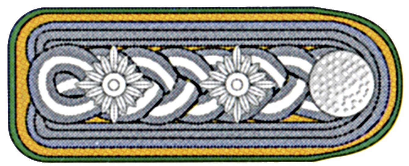 Oberbrandmeister SK rechts