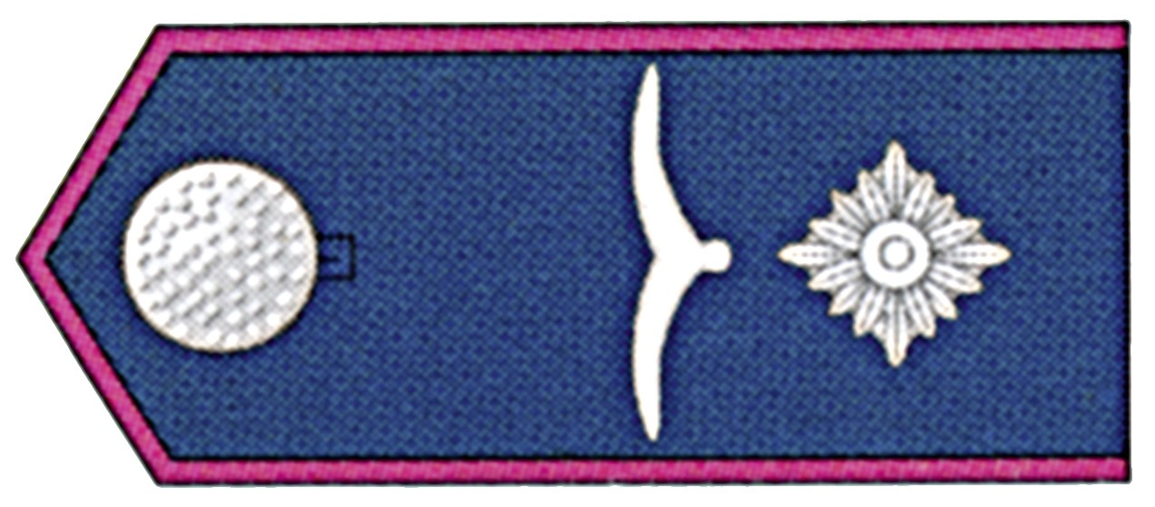 Oberfeuerwehrmann SK links