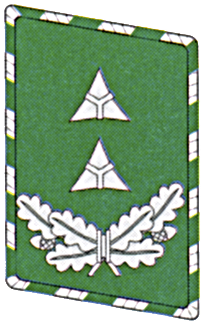 Hauptbrandmeister OBM KS links