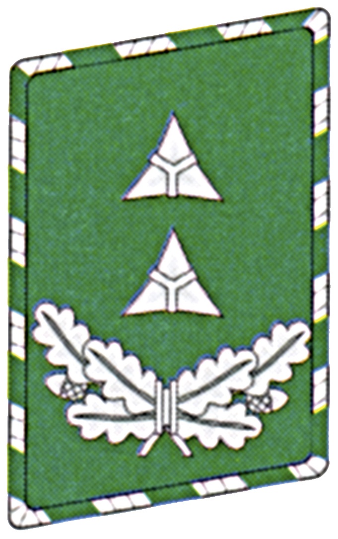 Hauptbrandmeister OBM KS rechts