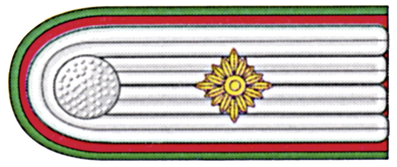 Hauptbrandmeister OBM SK links