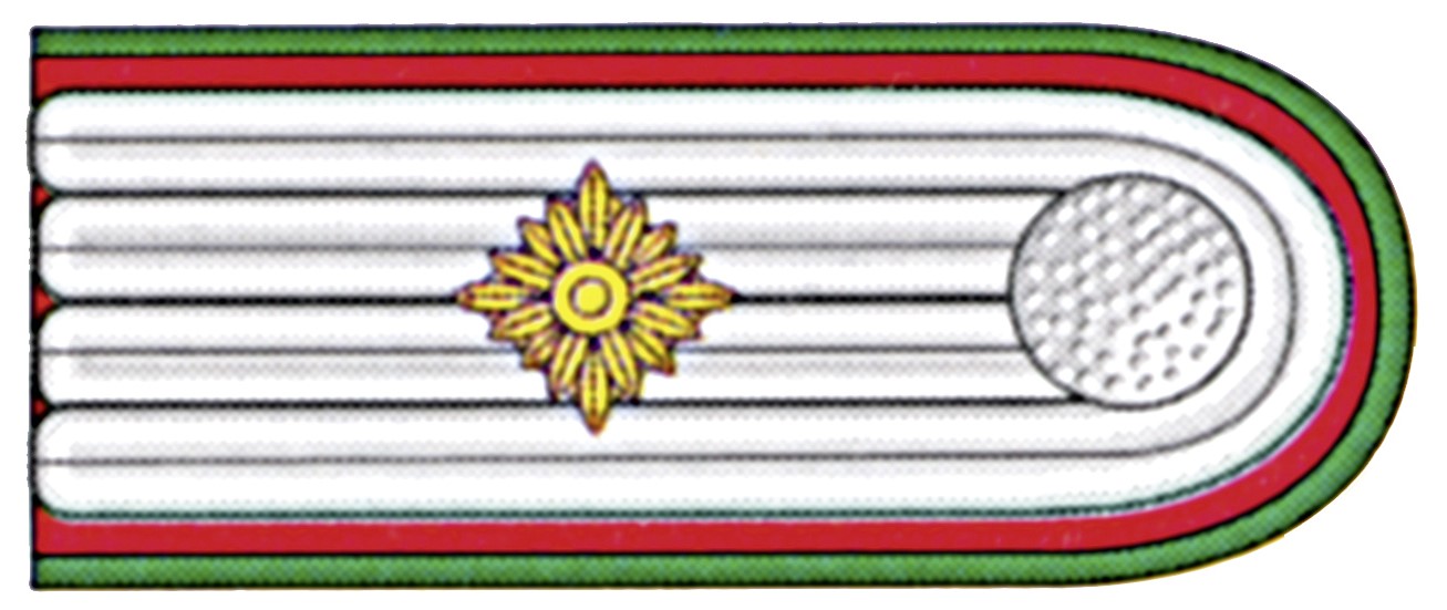 Hauptbrandmeister OBM SK rechts