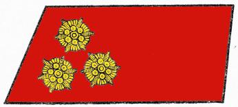 1949 1952 Hauptbrandmeister