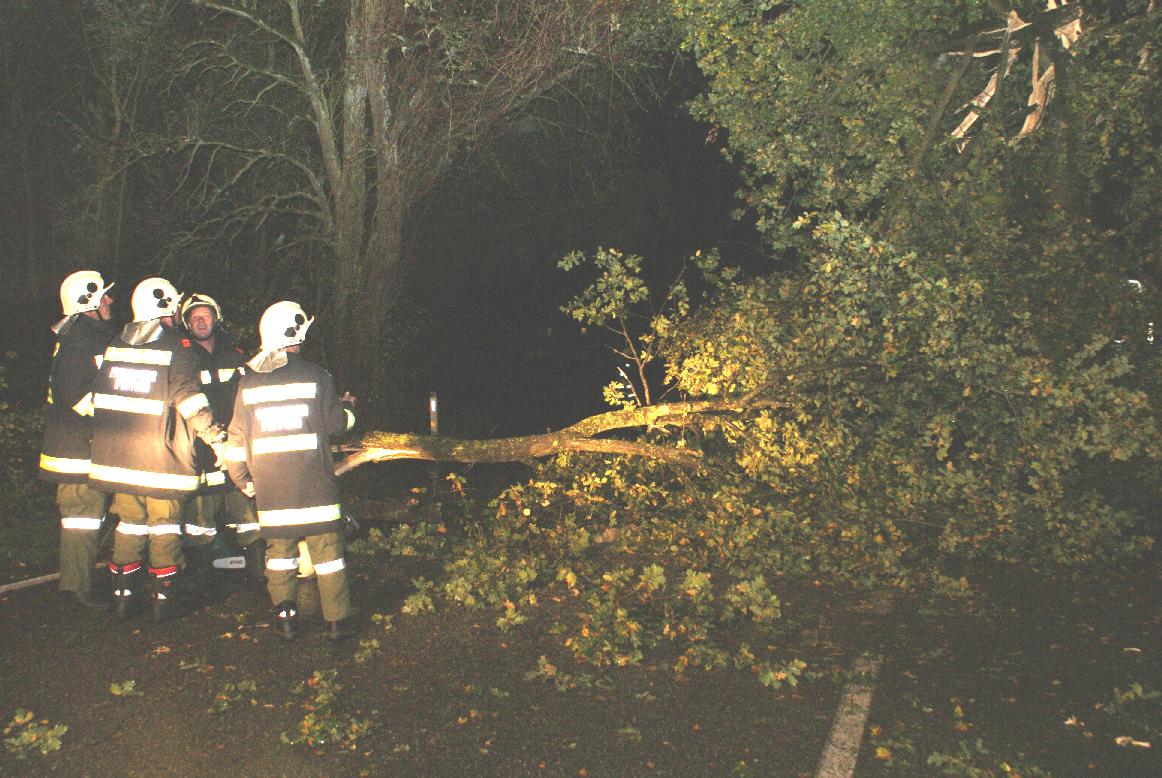 2014 10 22 Sturm (1)