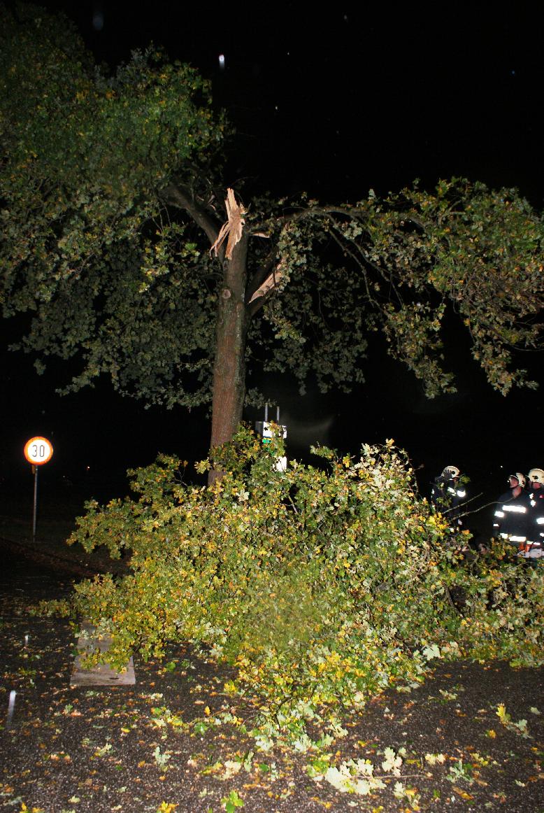 2014 10 22 Sturm (10)