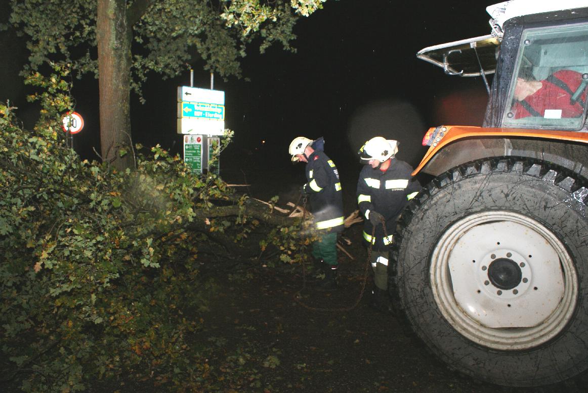 2014 10 22 Sturm (11)