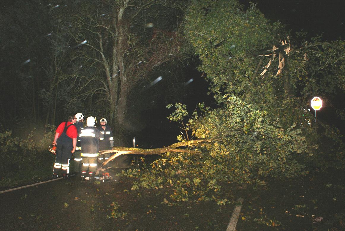 2014 10 22 Sturm (3)