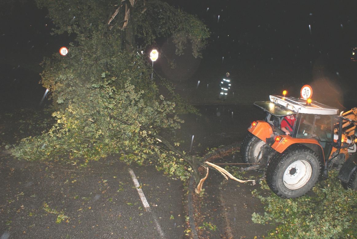 2014 10 22 Sturm (5)