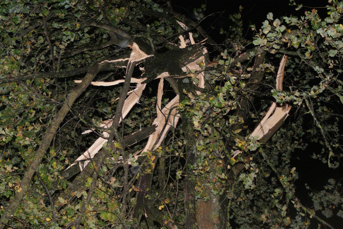 2014 10 22 Sturm (7)