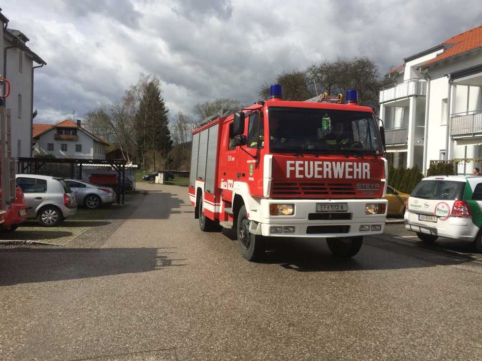 2015 03 31 Sturmschaden (8)