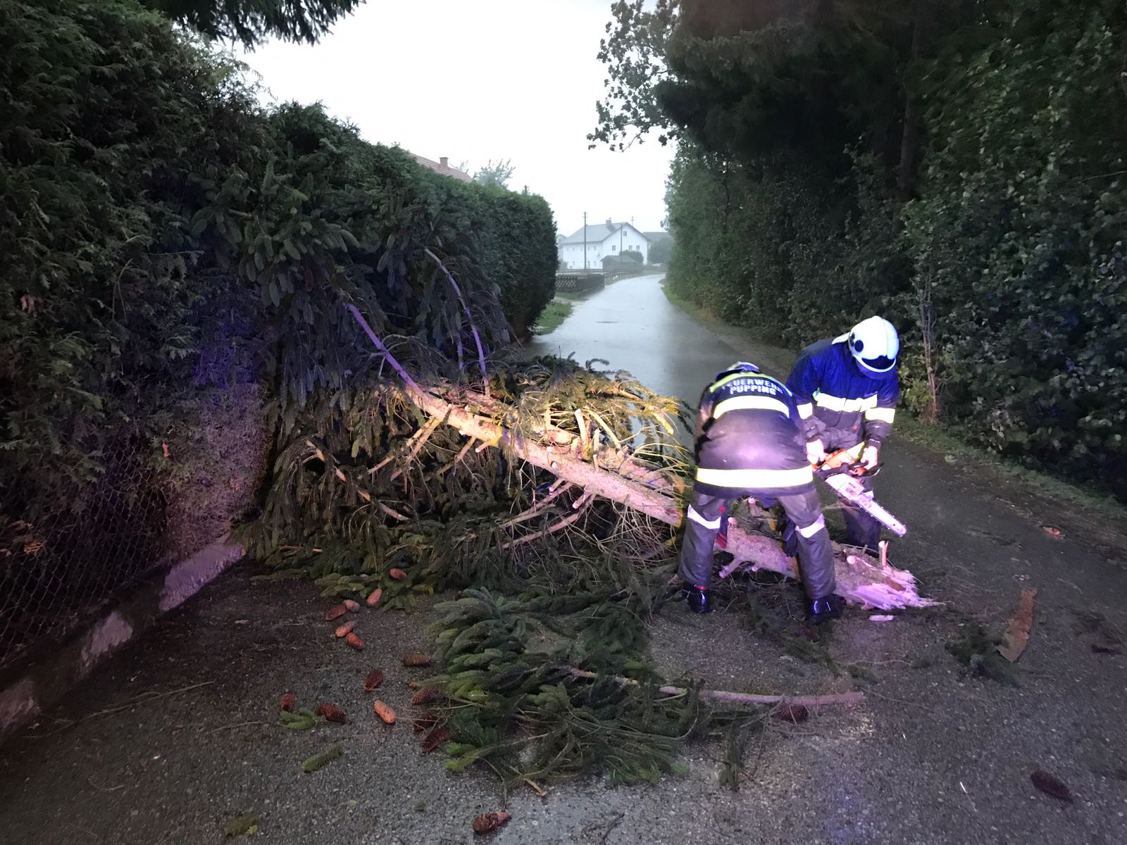 2017 07 20 Sturmschaden (4)