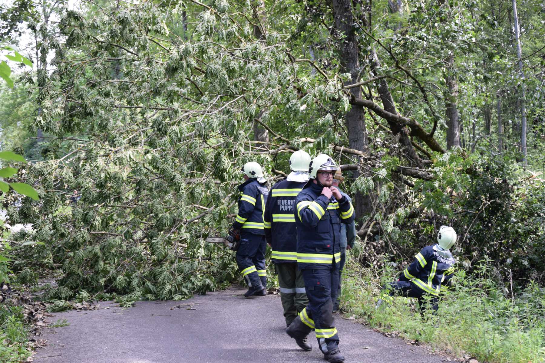 2018 06 22 Sturmschaden (1)