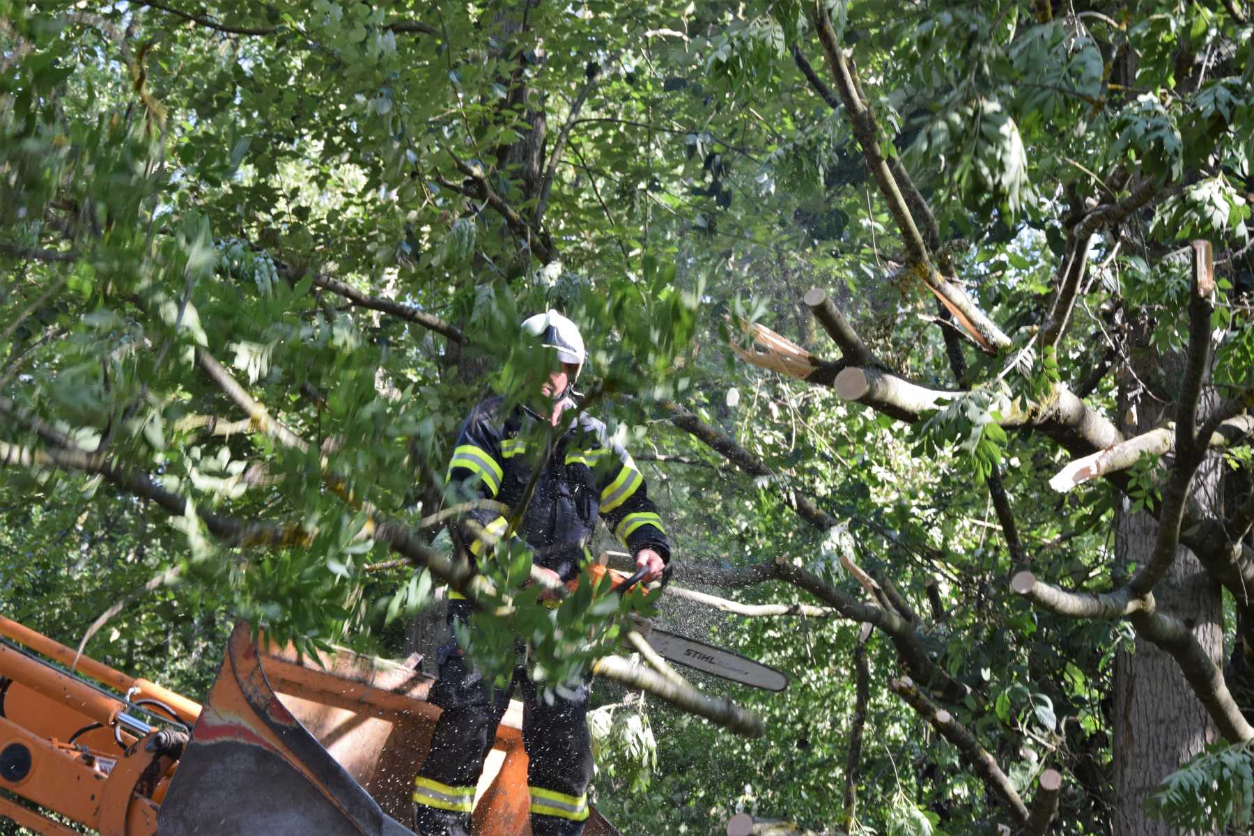 2018 06 22 Sturmschaden (11)