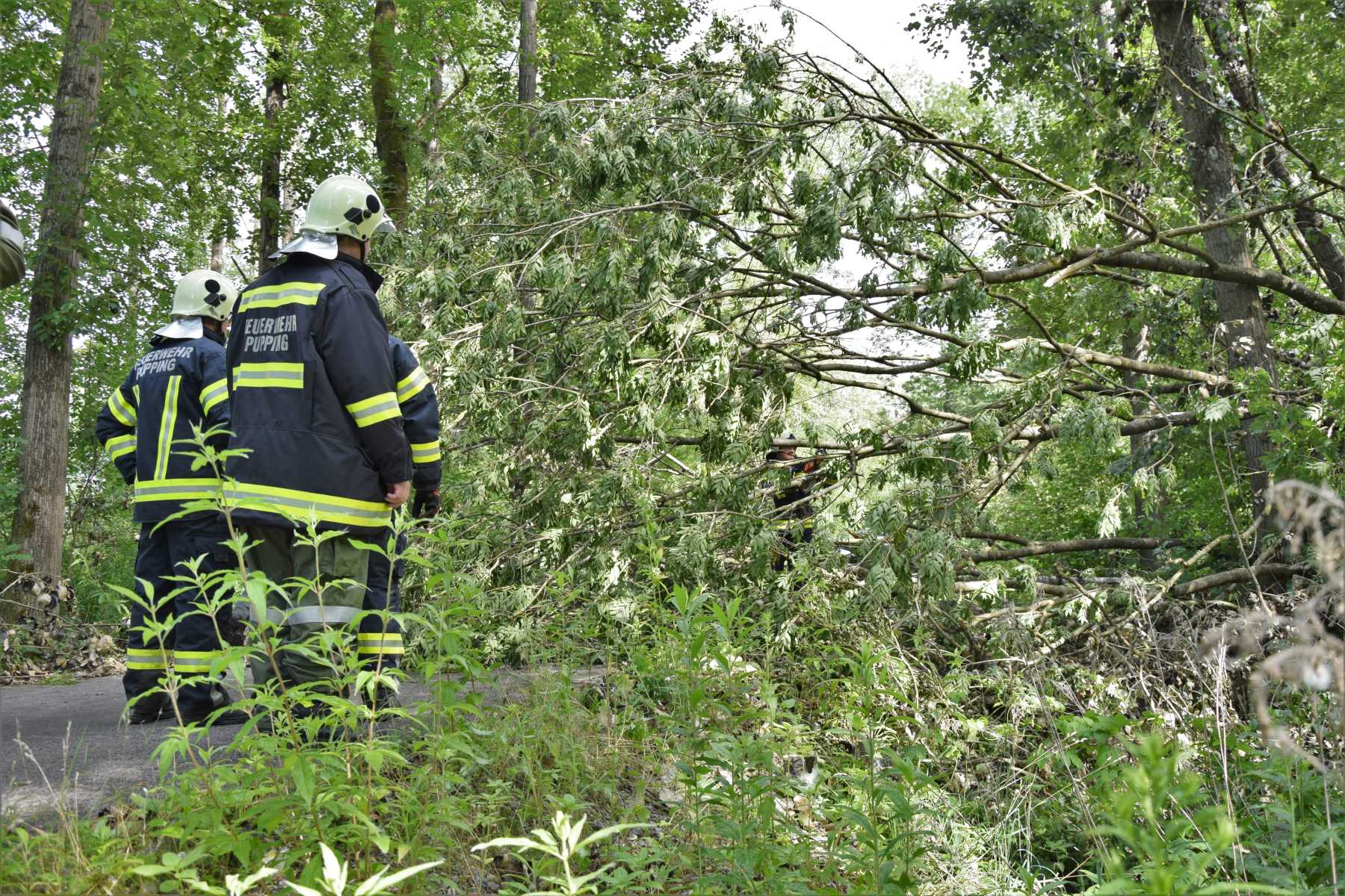 2018 06 22 Sturmschaden (2)