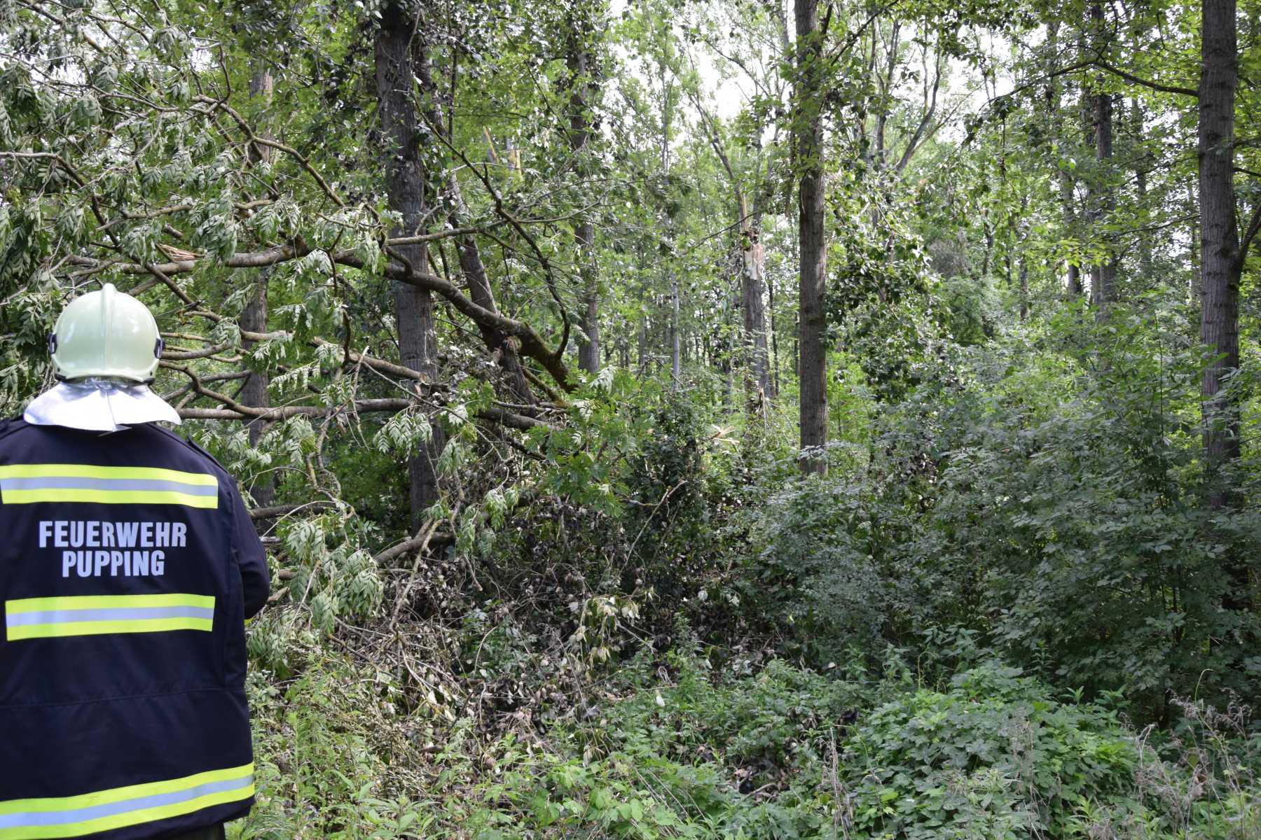 2018 06 22 Sturmschaden (3)