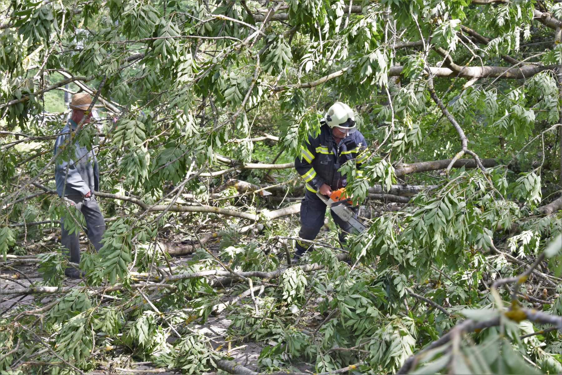 2018 06 22 Sturmschaden (4)