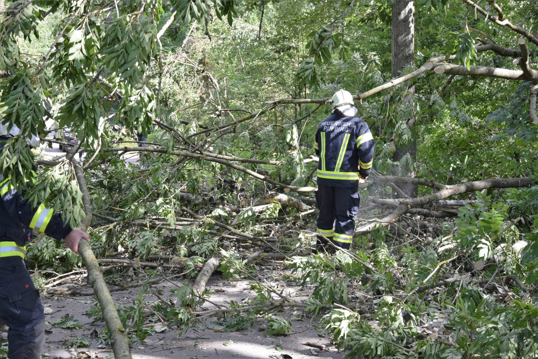 2018 06 22 Sturmschaden (5)