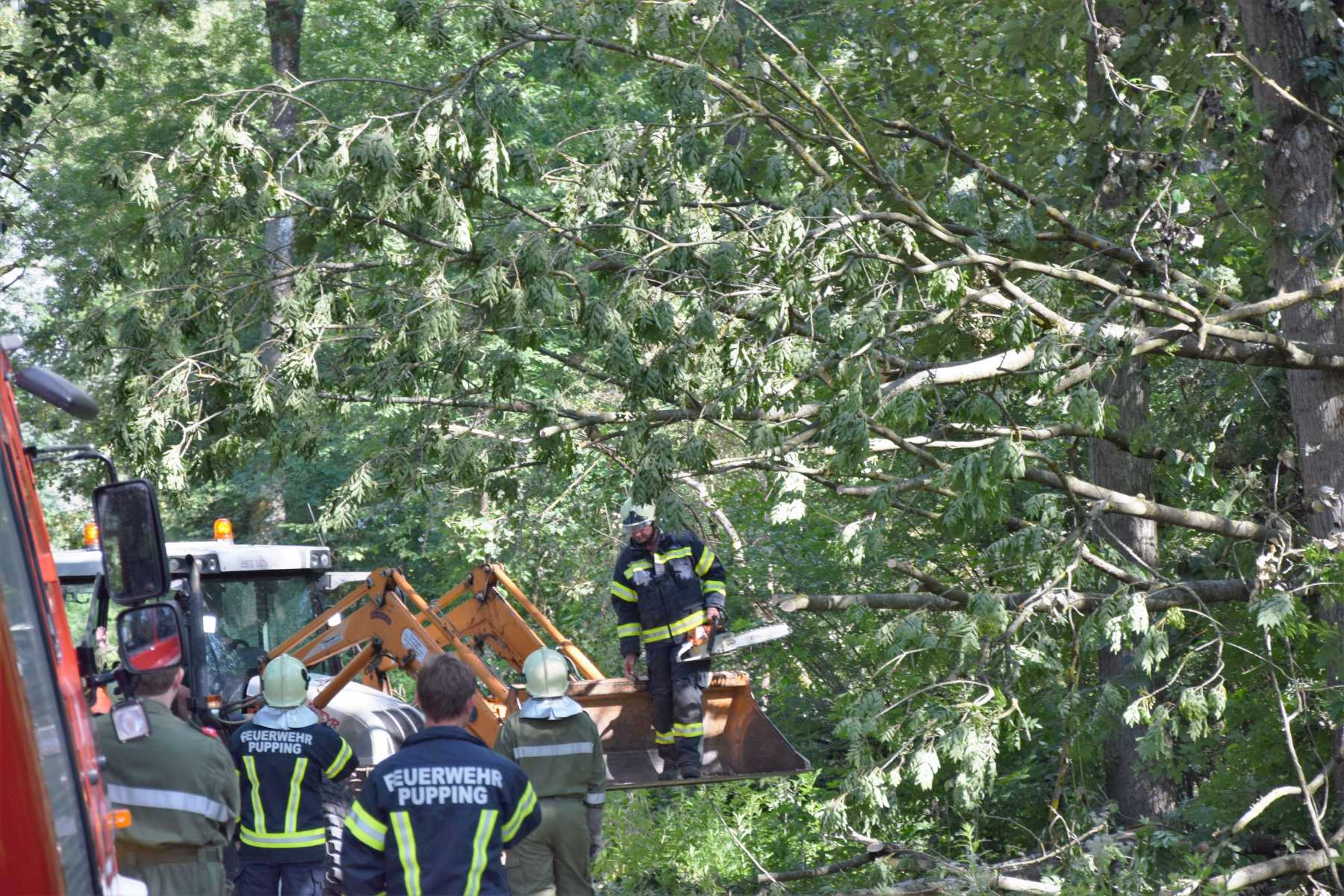 2018 06 22 Sturmschaden (7)