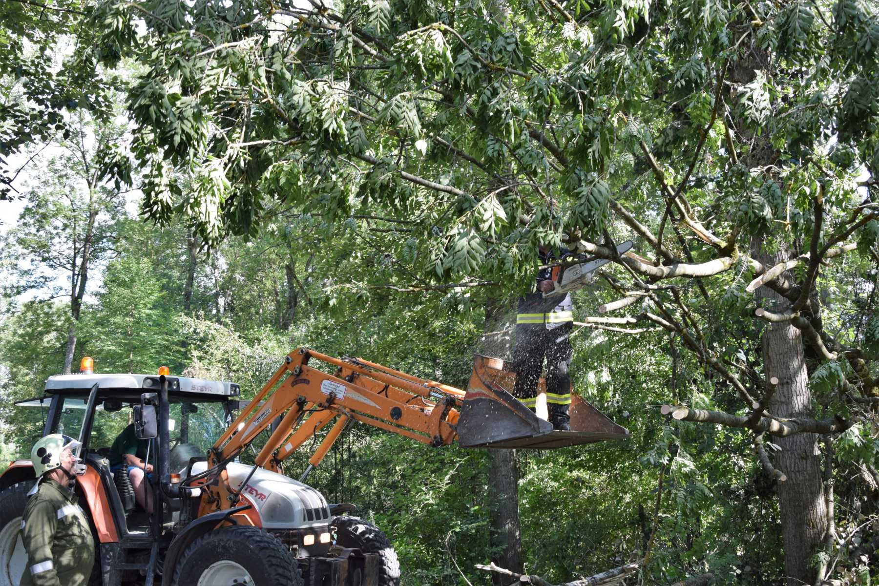 2018 06 22 Sturmschaden (8)
