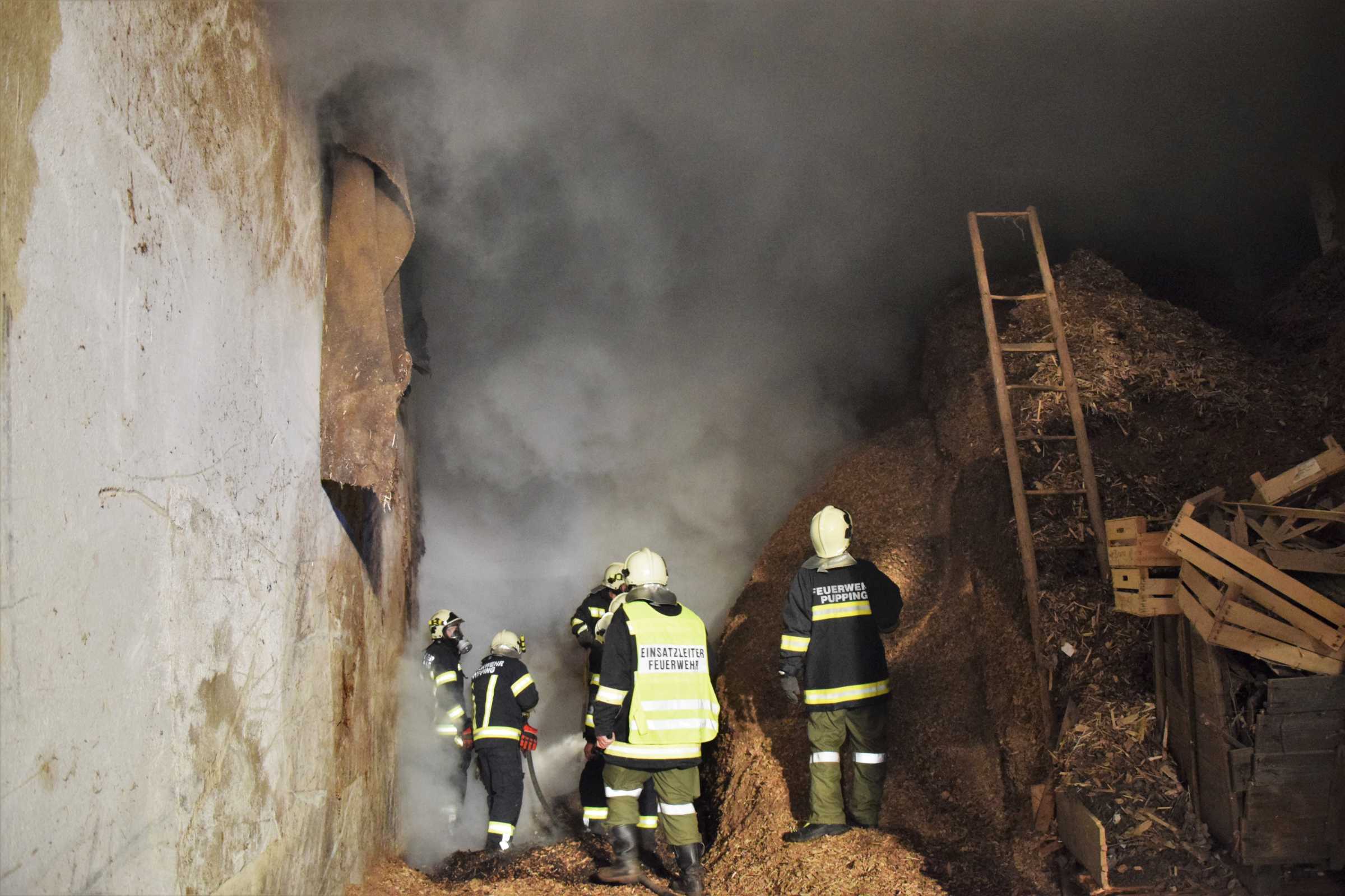 2018 02 24 Brand (13)