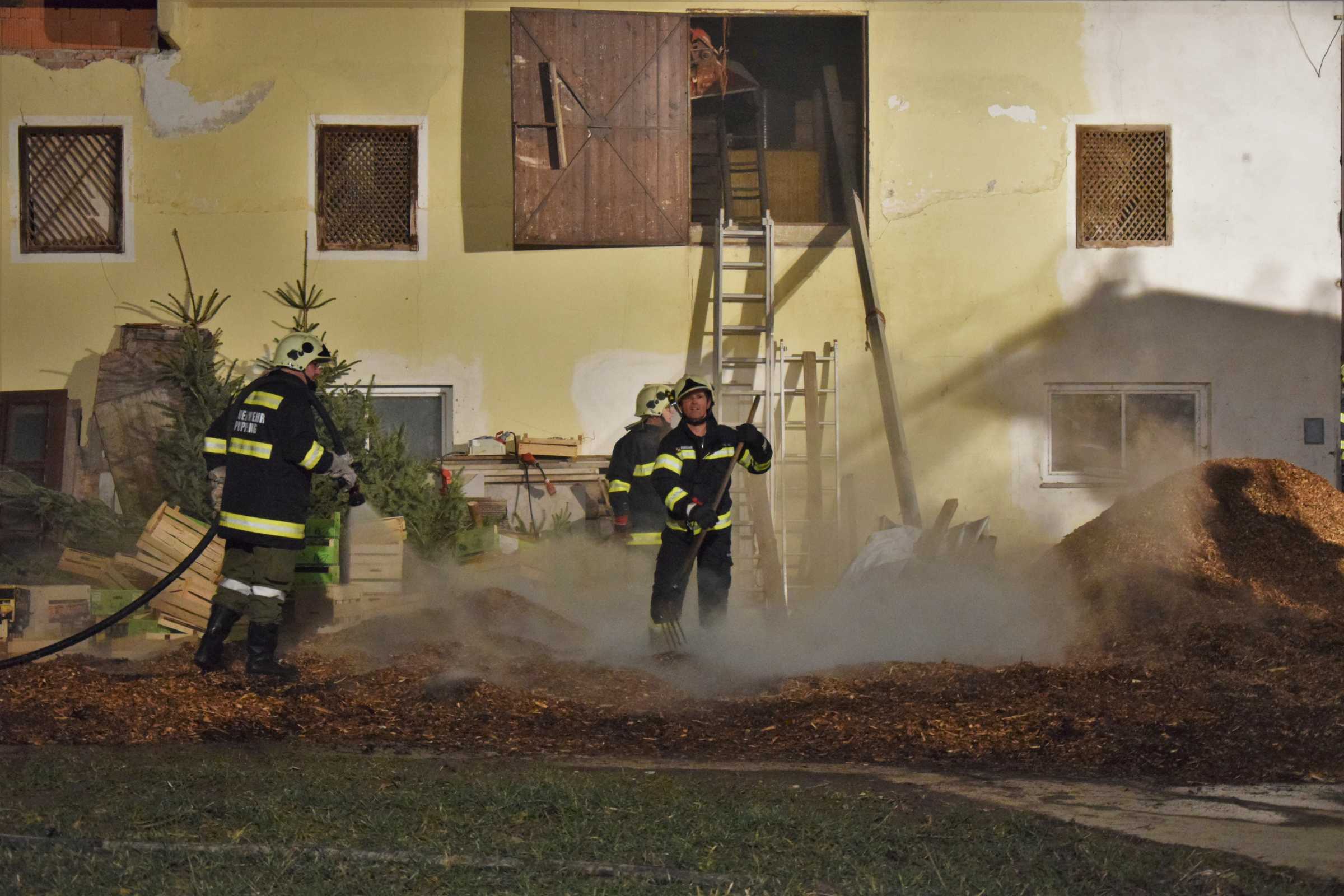 2018 02 24 Brand (7)