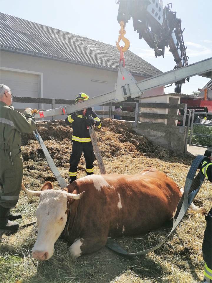 2020 07 08 Tierrettung (1)