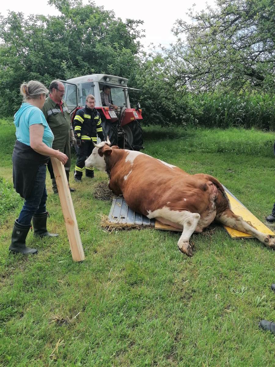 2020 07 08 Tierrettung (4)