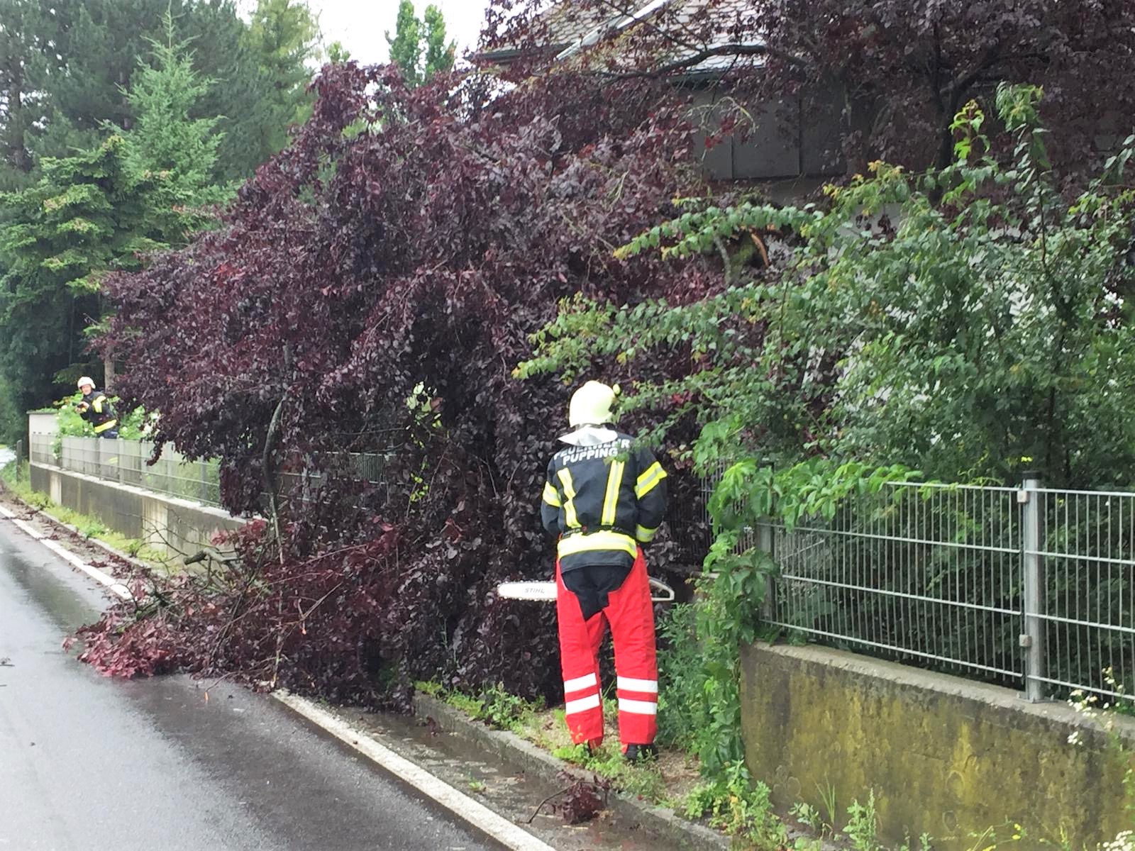 2020 07 11 Sturm (2)