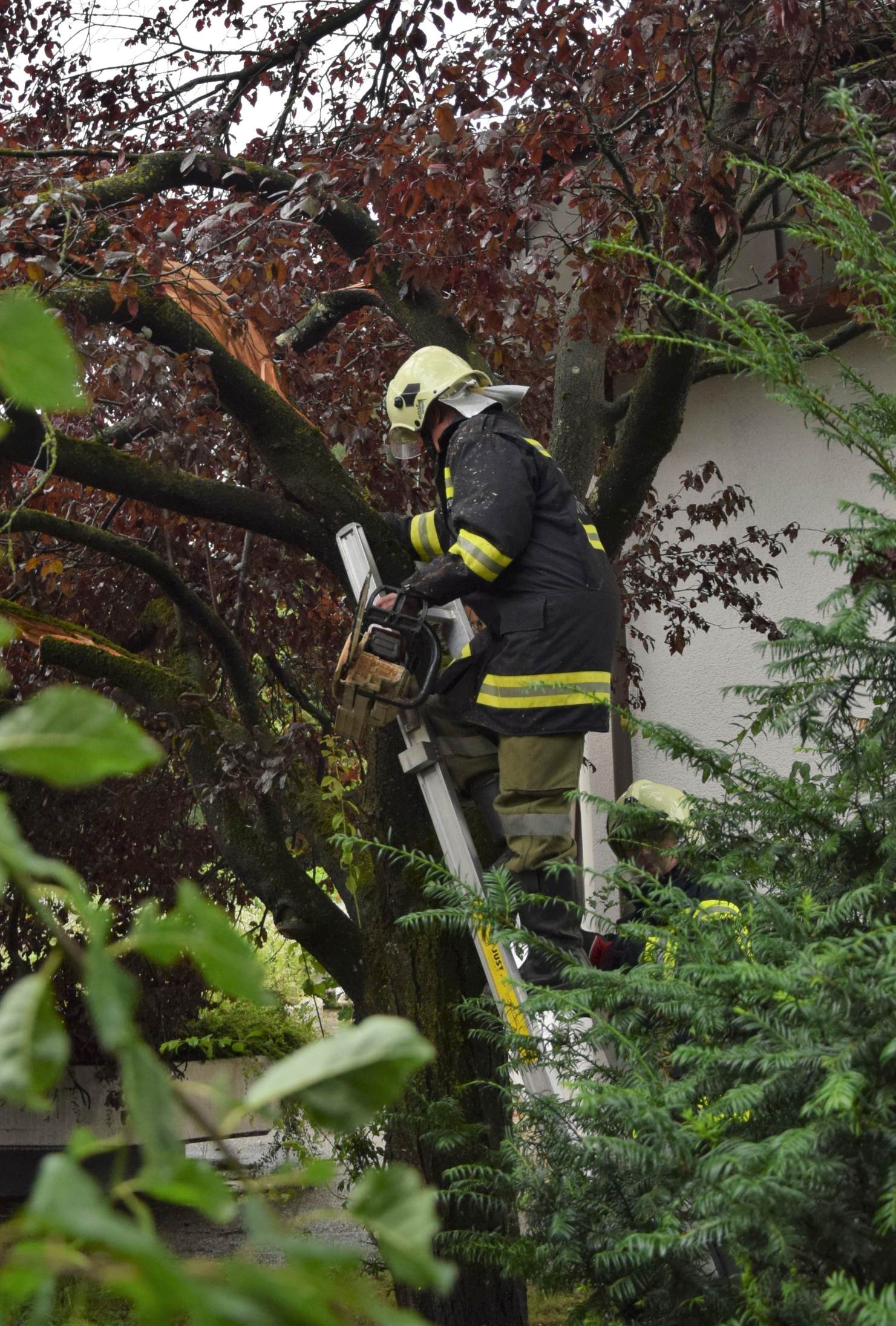 2020 07 11 Sturm (21)