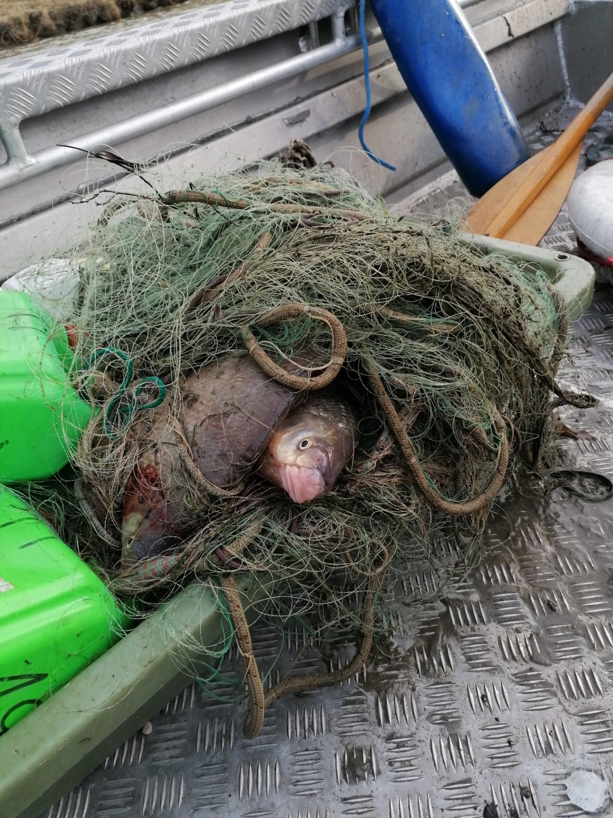 2021 02 06 Bootsbergung (4)