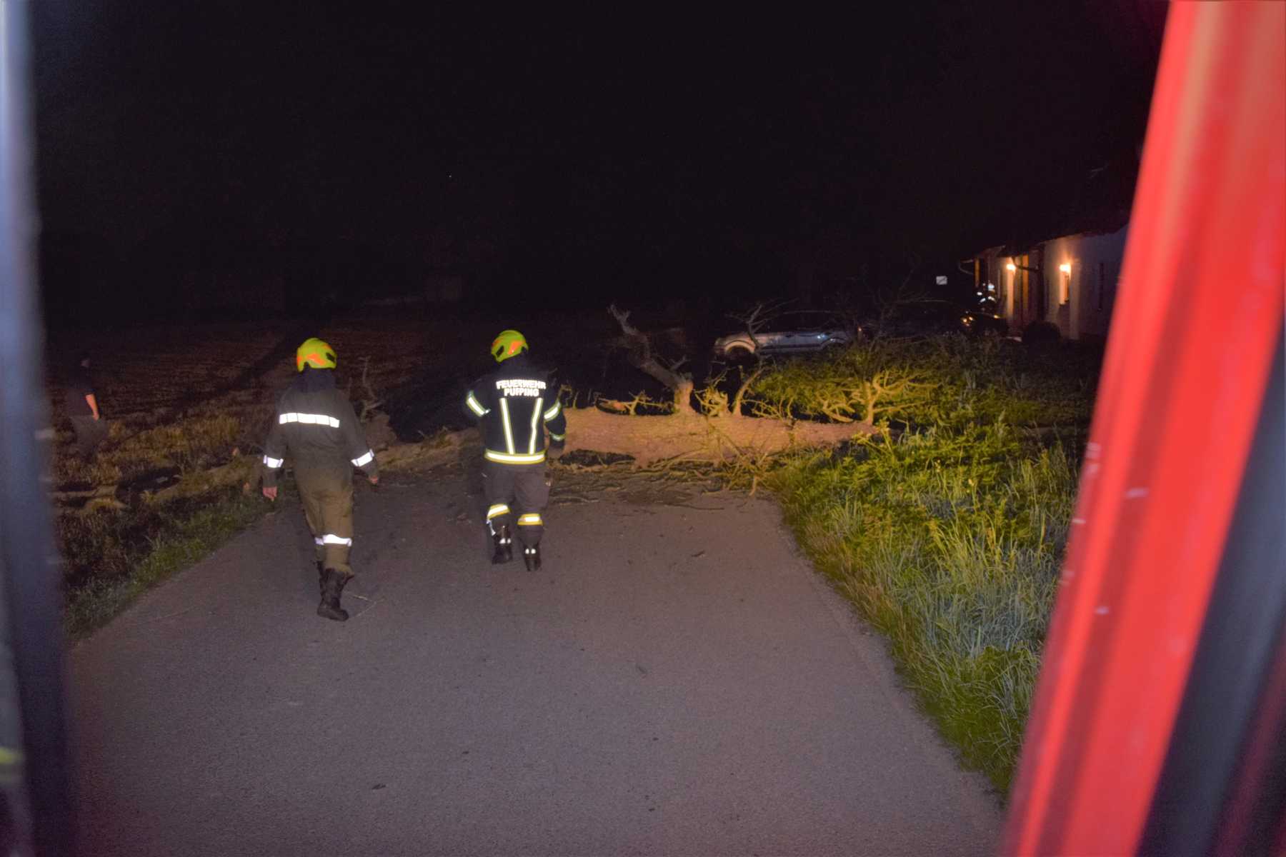 2021 07 24 Baum auf Straße (2)