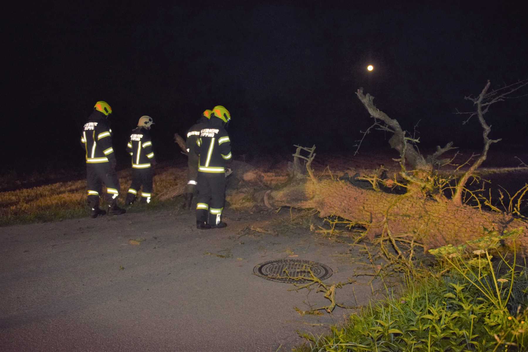 2021 07 24 Baum auf Straße (3)