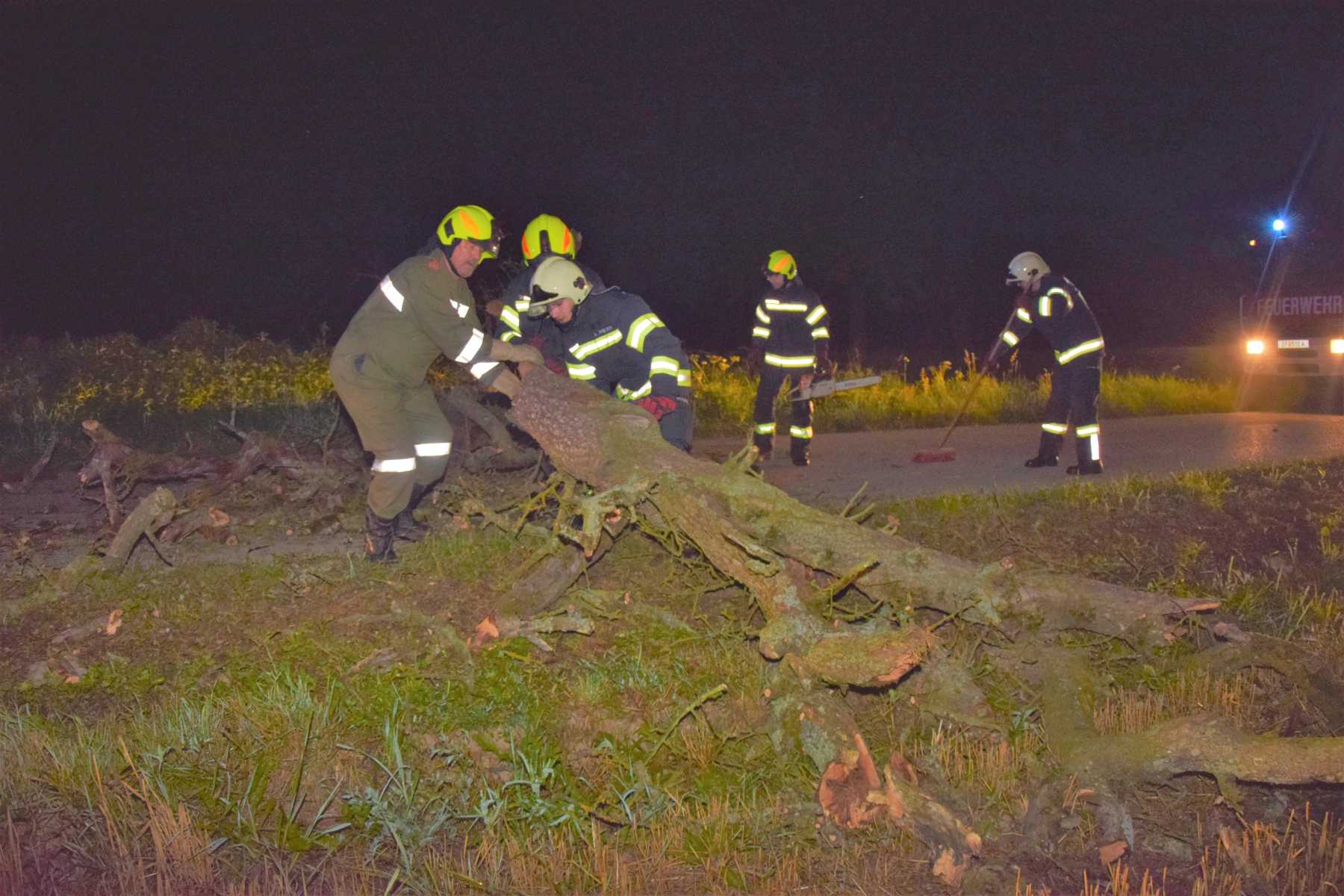 2021 07 24 Baum auf Straße (4)