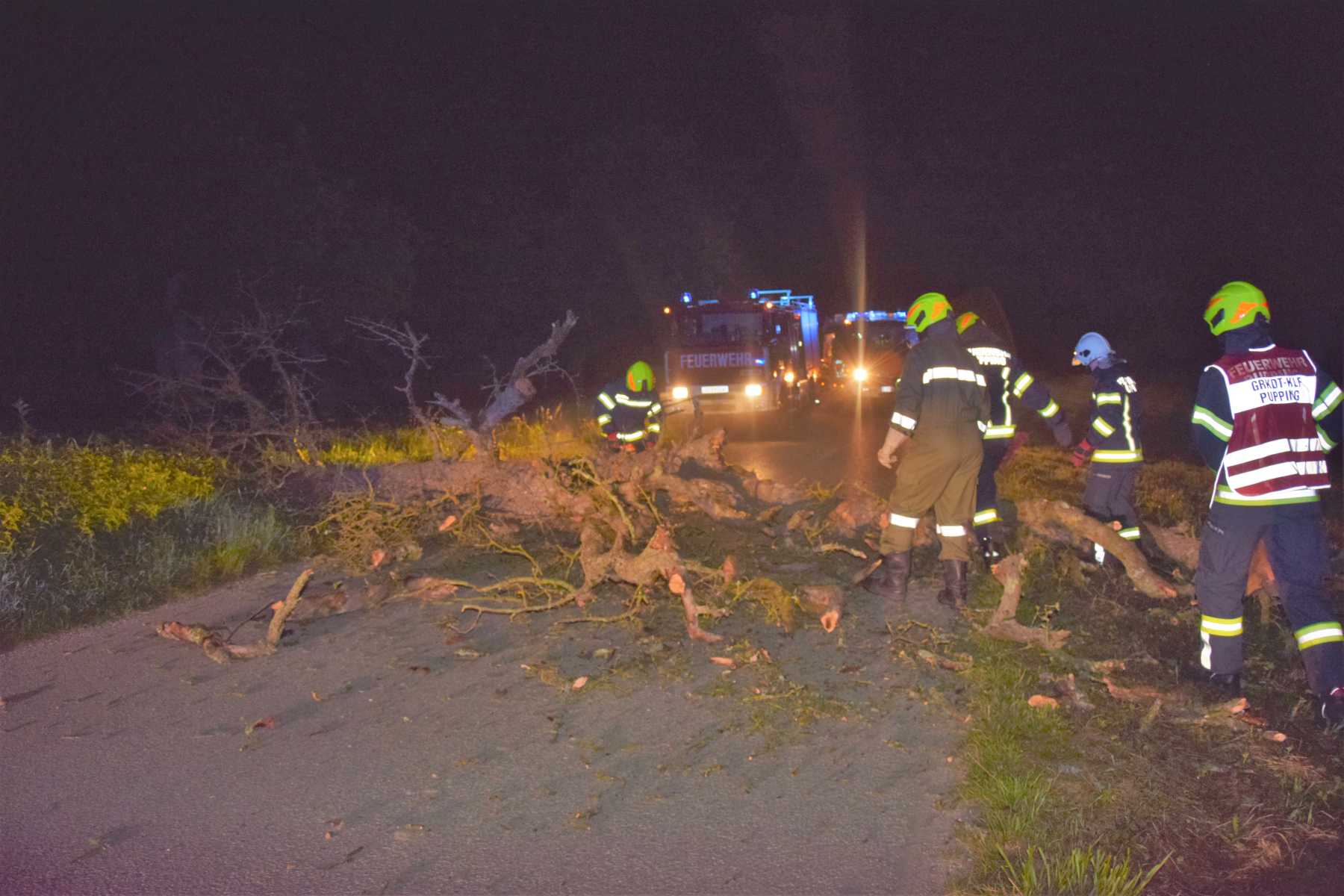 2021 07 24 Baum auf Straße (5)