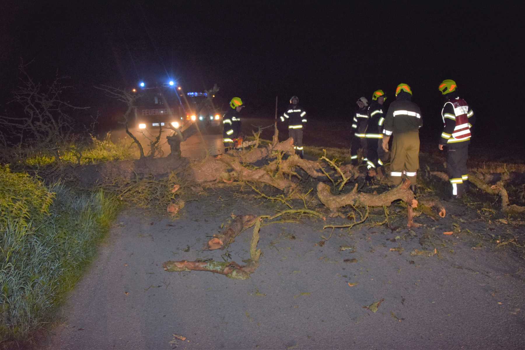 2021 07 24 Baum auf Straße (6)