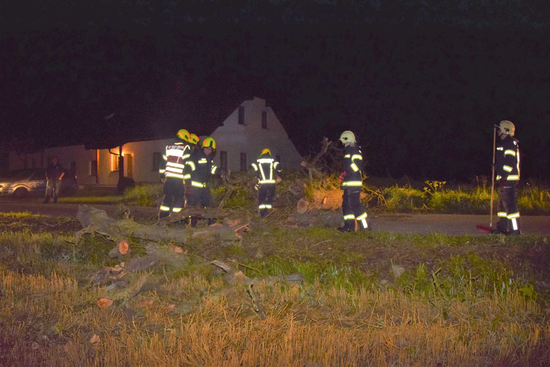 2021 07 24 Baum auf Straße (7)