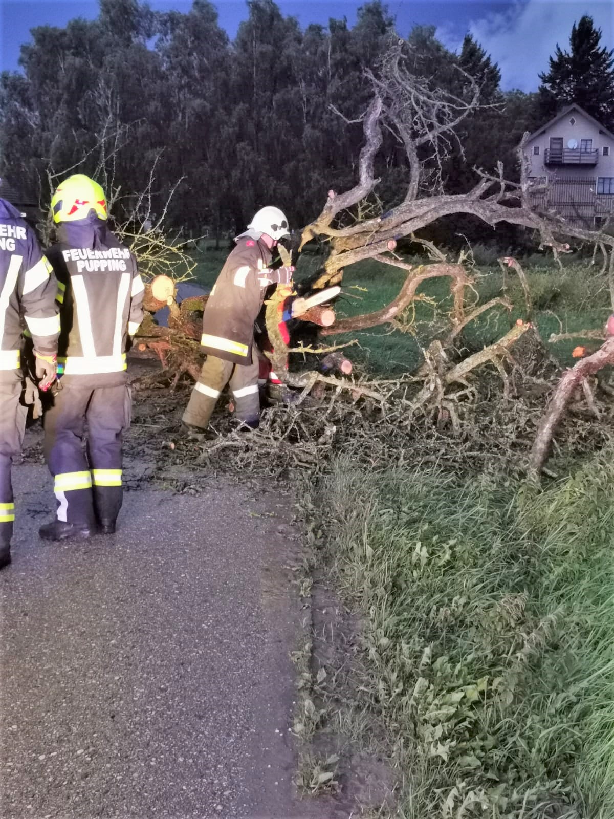 2021 08 07 Baum Eckmayr (3)