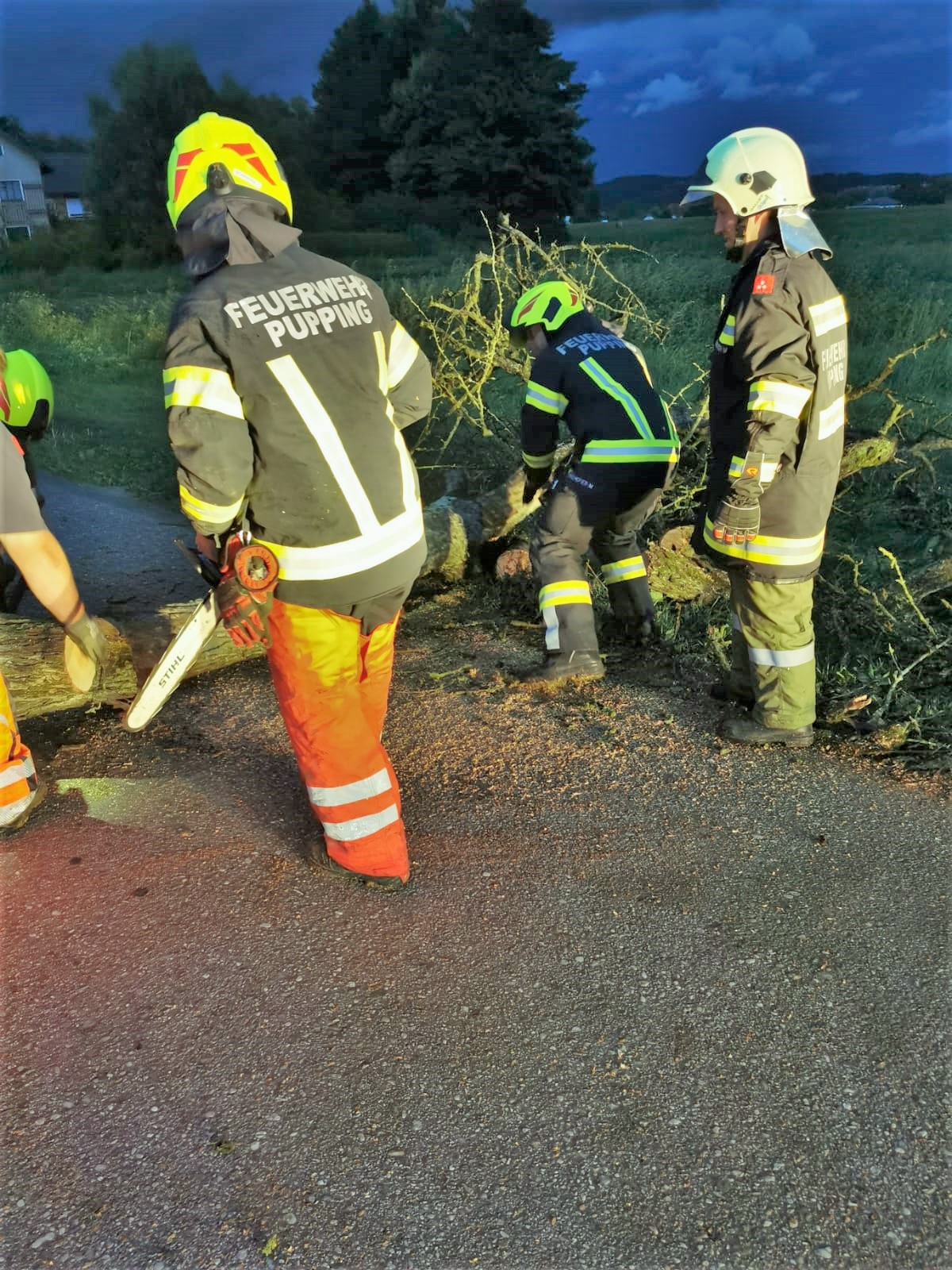 2021 08 07 Baum Eckmayr (5)