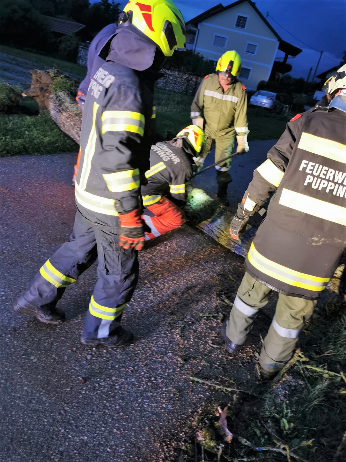 2021 08 07 Baum Eckmayr (6)